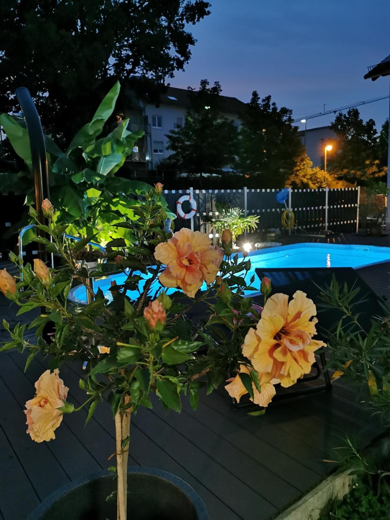 Apartmenthaus Вертхайм Екстериор снимка